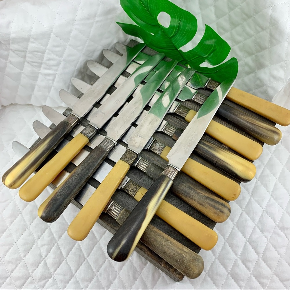 VINTAGE BUTTERKNIFE SET W/CASE BONE LIKE HANDLES - Picture 3 of 11